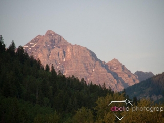 mountains and evergreens