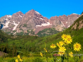 scenic mountain shot with sunflowers